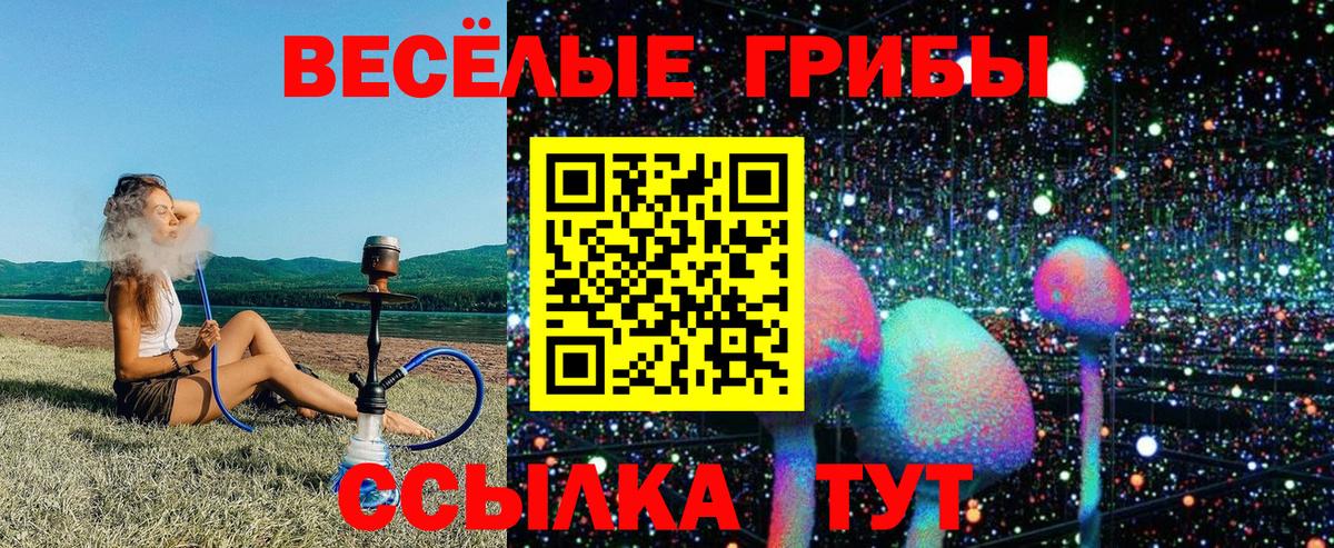 Галлюциногенные грибы GOLDEN TEACHER Барнаул