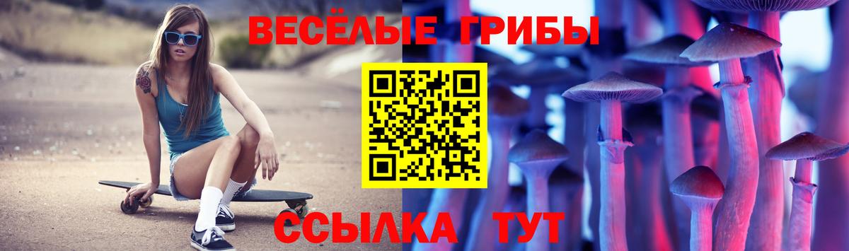 Барнаул  цена   Вход с VPN  Псилоцибиновые грибы Psilocybine cubensis 